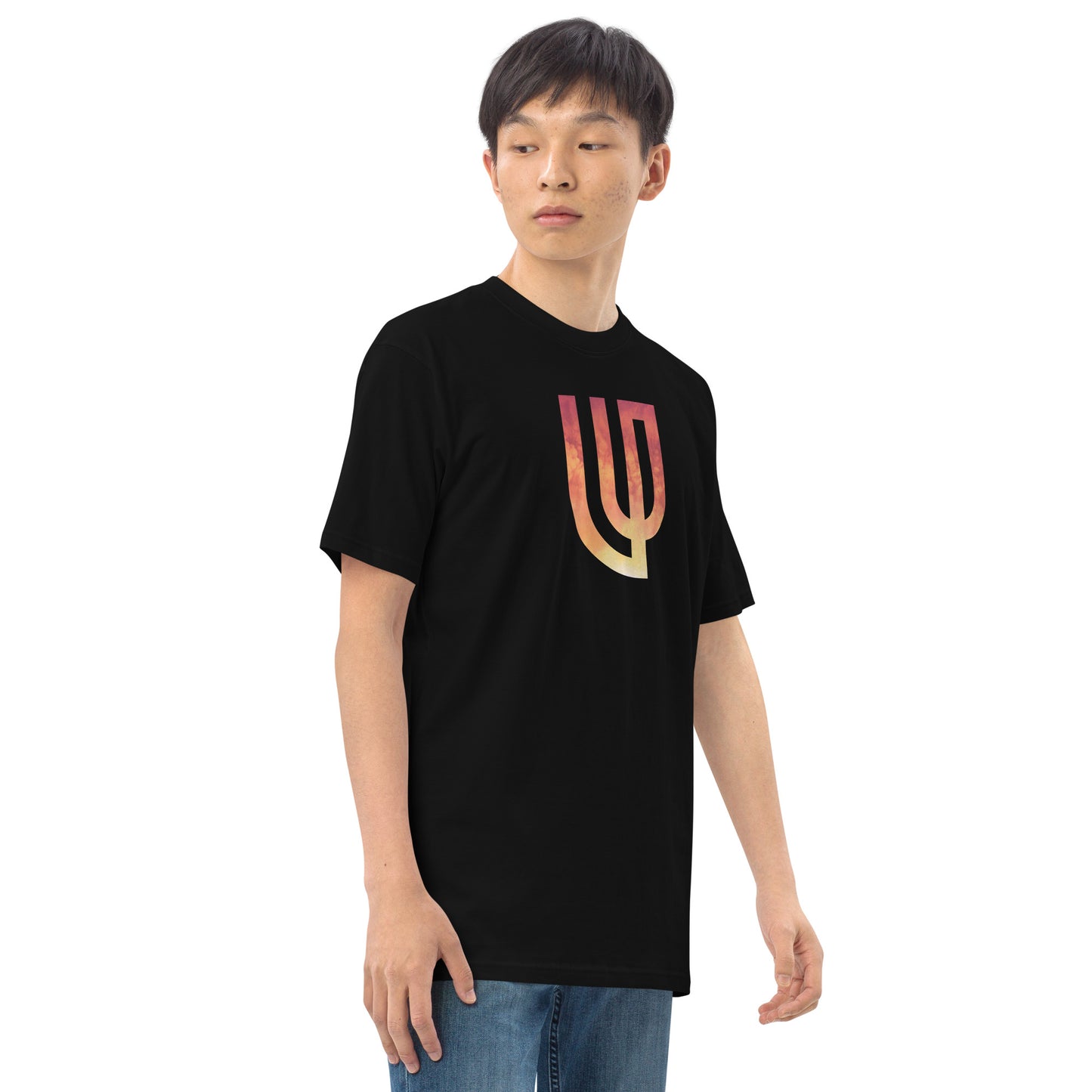 WP- Crowd Control premium heavyweight tee